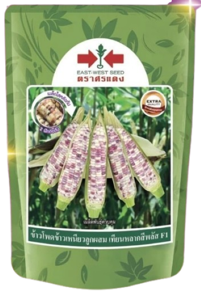 ขพขน.เทียนหลากสีพลัสF1ศรแดง1000เมล็ด*60