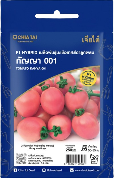 มะเขือเทศสีดากัญญา001F1เจียไต๋SE*100