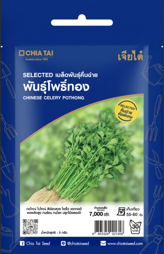 คื่นฉ่ายโพธิ์ทองOPเจียไต๋SE