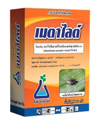 เมตาไลต์500G*24