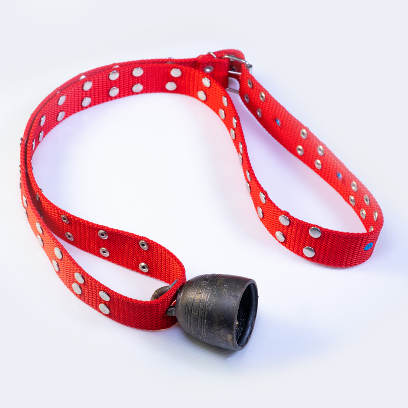 กระดิ่งสายใหญ่