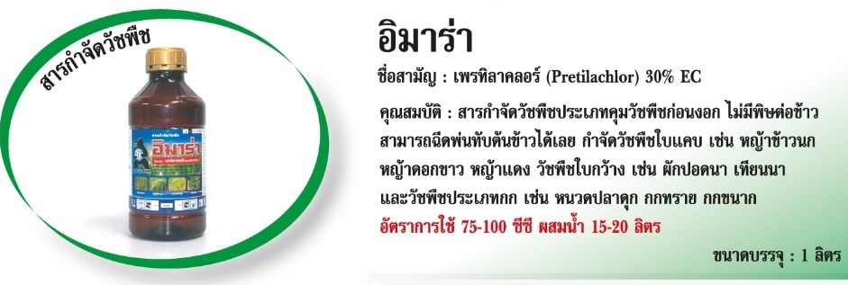 อิมาร่าหมีอุ้มโลก1L*12