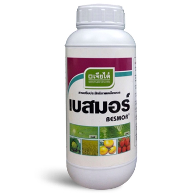 เบสมอร์500CC*24