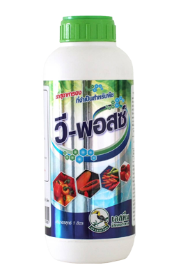 วี-พอสซ์นกเงือก1L*12