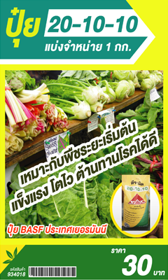 20-10-10       1KGพีระมิด 