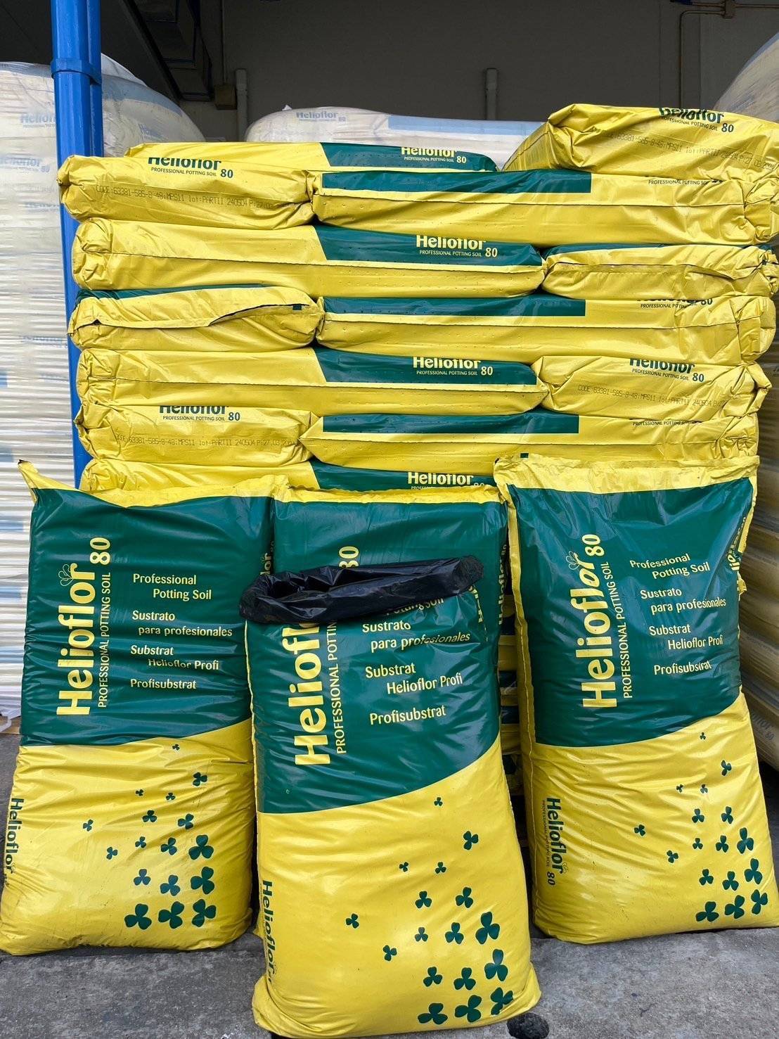 70/LพีทมอสเขียวเหลืองHELIOFLOR