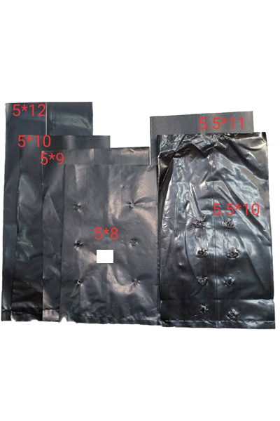 ถุงเพาะชำ 5X8"