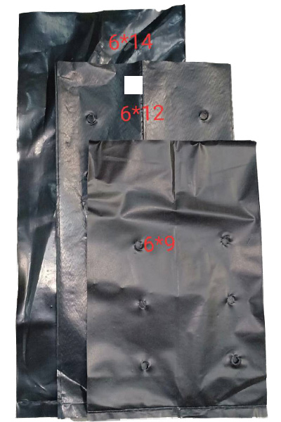 ถุงเพาะชำ 6X12"