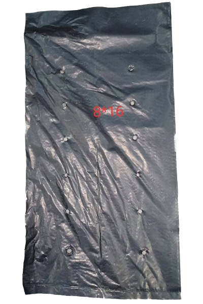 ถุงเพาะชำ 8X16" 500G