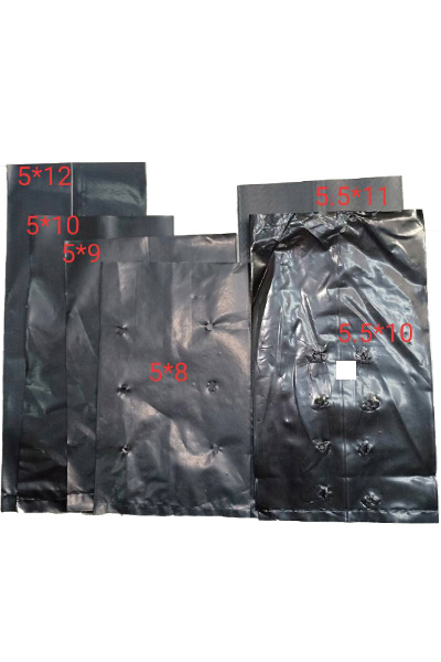 ถุงเพาะชำ 5.5X10"