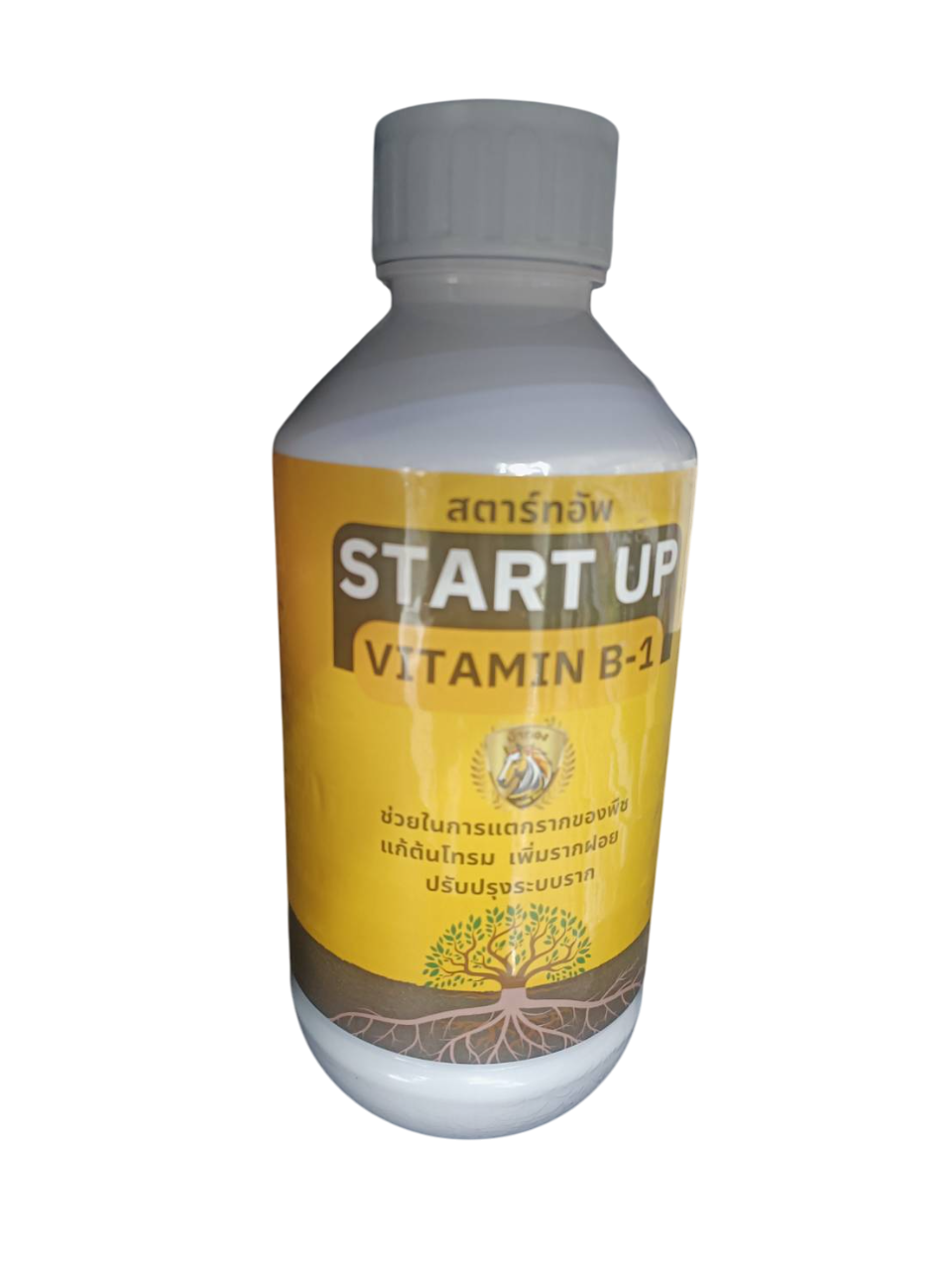 สตาร์ทอัพB-1ม้าทอง1L*12F