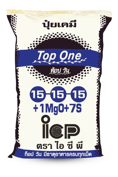 15-15-15 ท็อปวัน