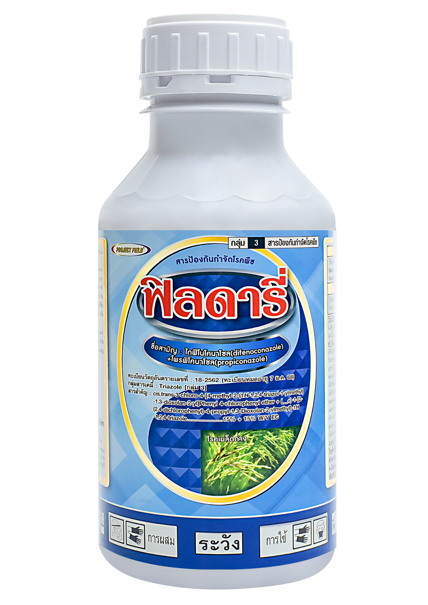 ฟิลดารี่1L*12