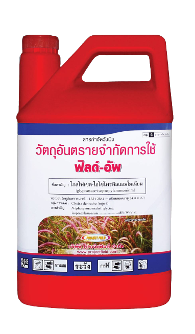 ฟิลด์อัพแดง 4L*6