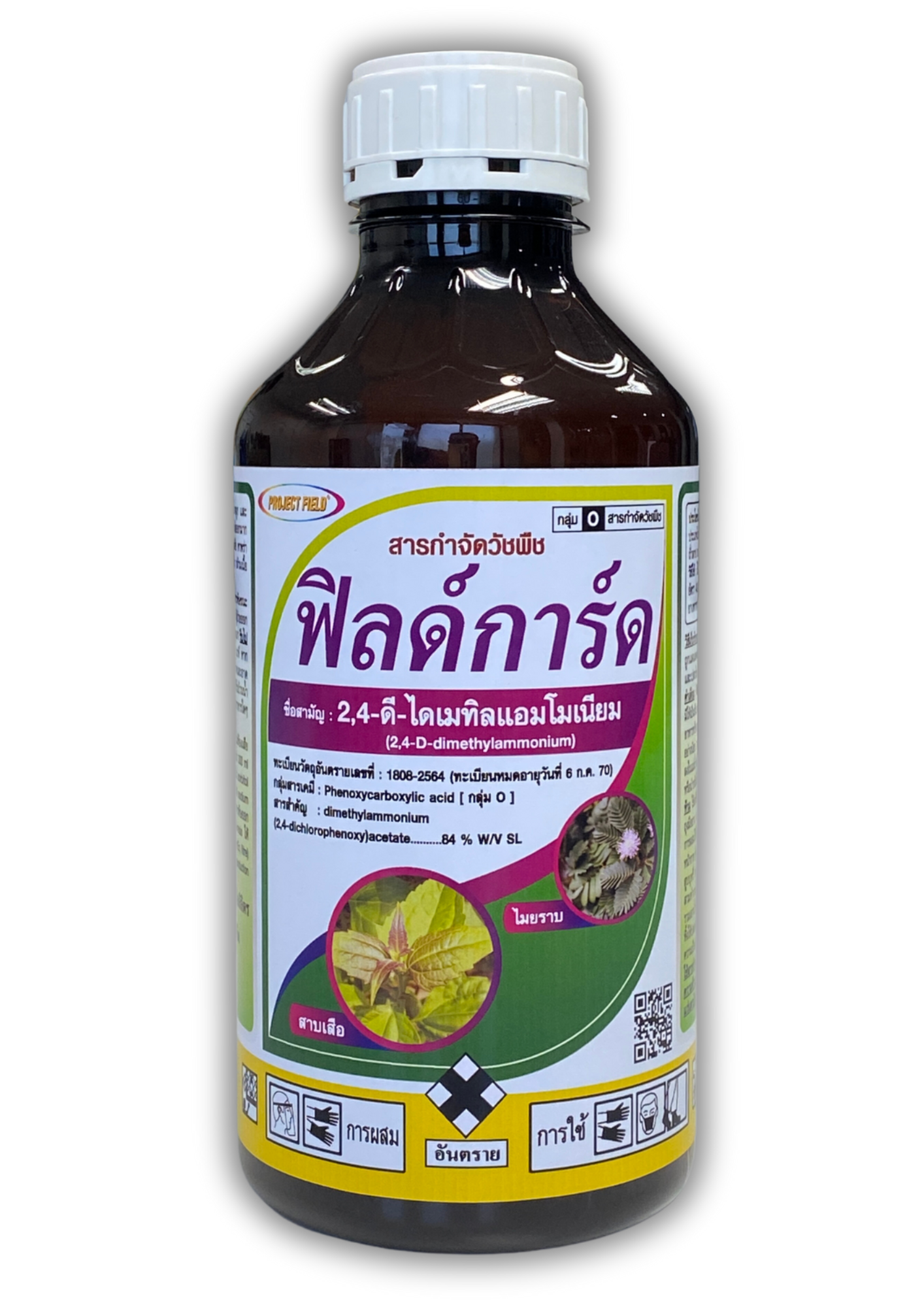 ฟิลด์การ์ด1L*12