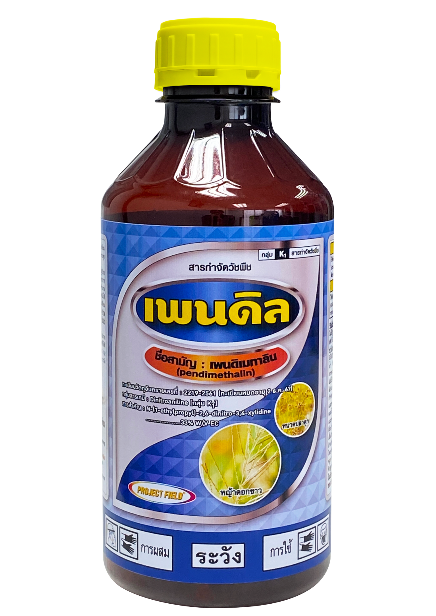 เพนดิล1L*12