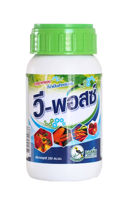 วี-พอสซ์นกเงือก250CC*24