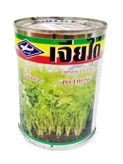 คึ่นฉ่าย โพธิ์ทอง เครื่องบิน60G*90