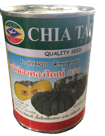 ศรีเมือง050ฟักทองเครื่องบิน100G*48
