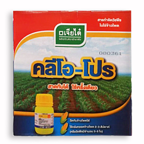 คลีโอ-โปร*6