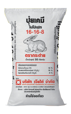 16-16-8กระต่ายCT