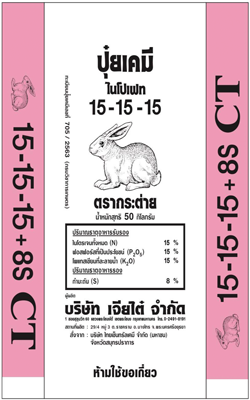 15-15-15กระต่ายCT