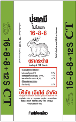 16-8-8กระต่ายCT