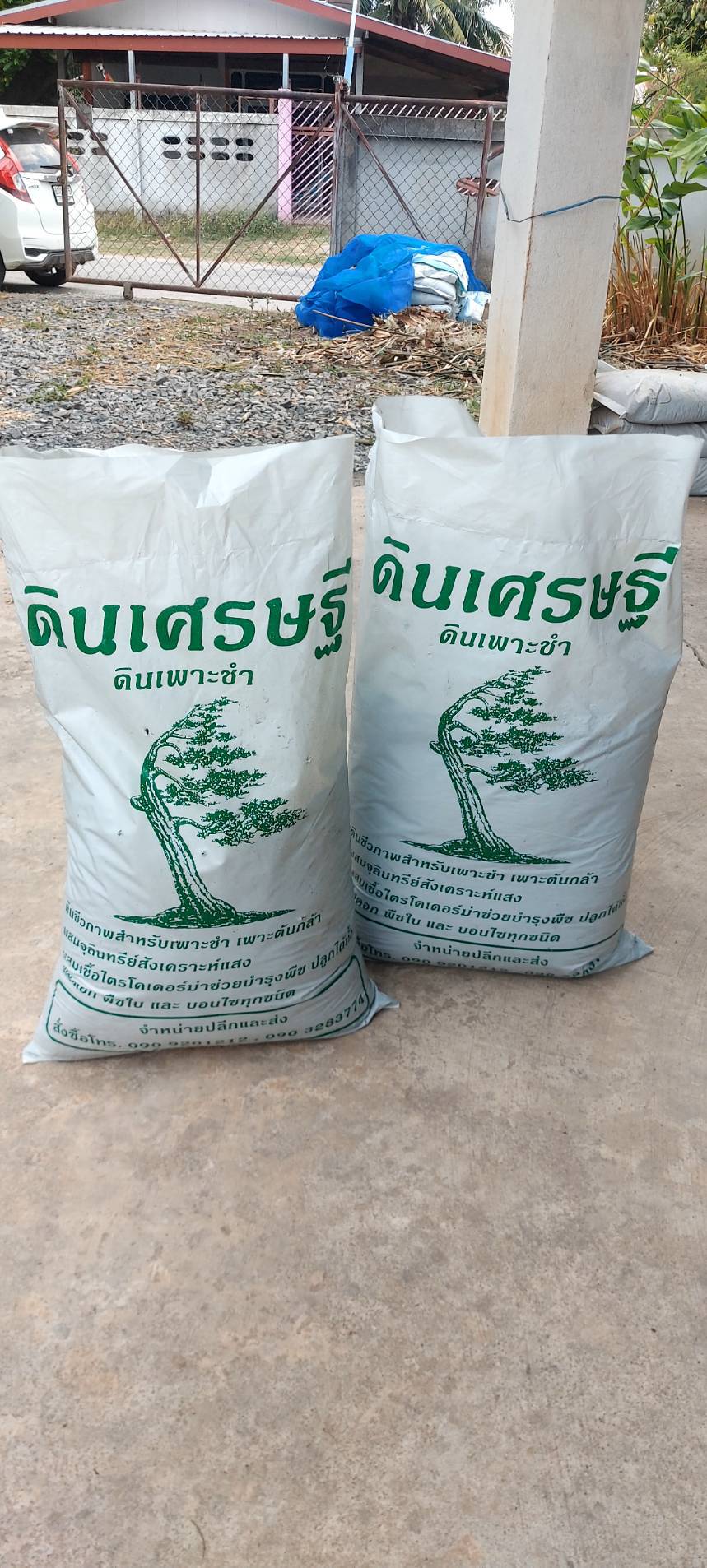 ดินปลูกเศรษฐี