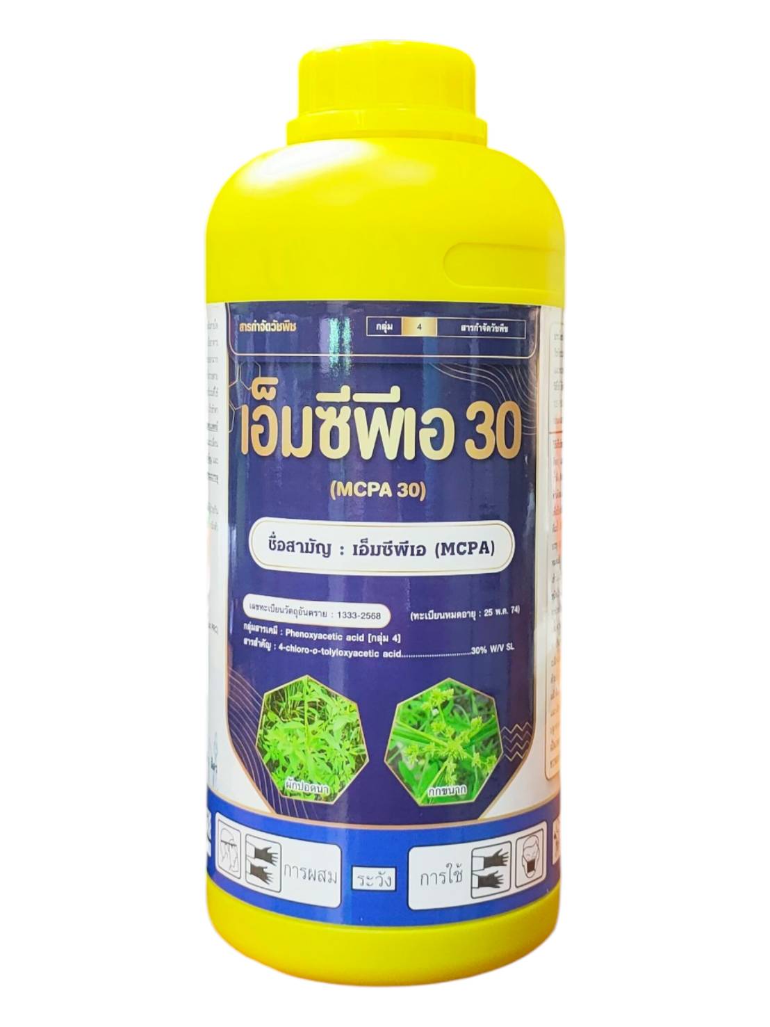 เอ็มซีพีเอ30ปลากัด1L*12