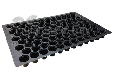 ถาดเพาะ104หลุมACP0.60 ไม่มีขอบ*100