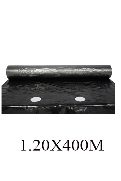 1.20X400Mเสือดำ50CMรูคู่