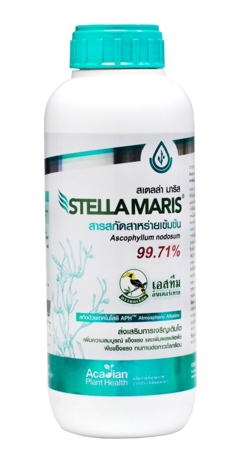 สเตลล่า มาริส1L*12