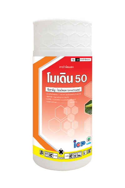 โมเดิน50 1L*20