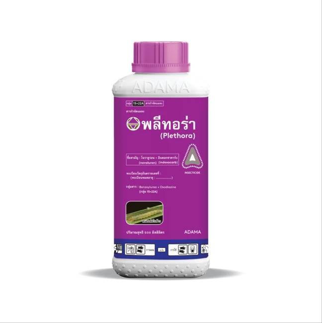 พลีทอร่า500CC*20