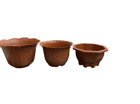 กถ.ต้นไม้เล็กคละลาย