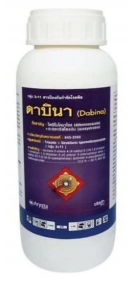 ดาบินา500CC*24