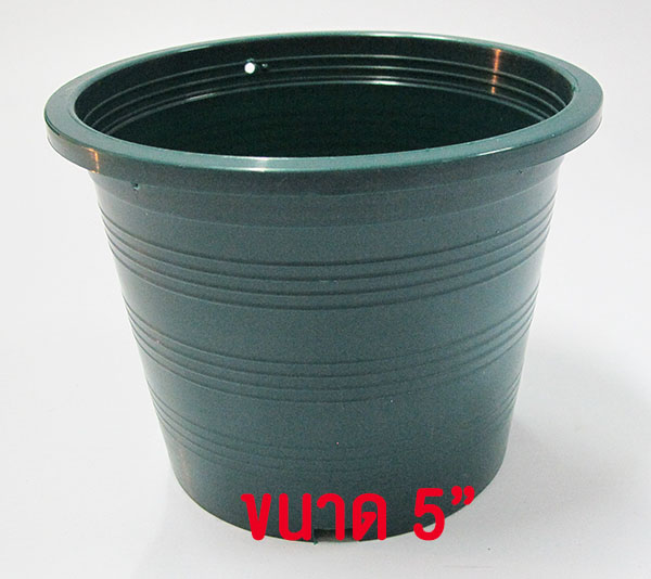 กถ.เขียว 5"