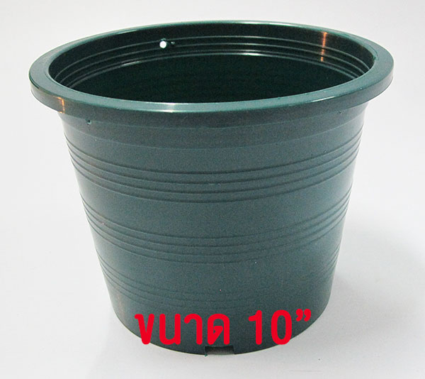 กถ.เขียว 10"