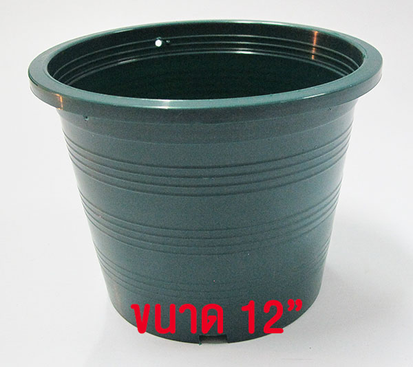 กถ.เขียว 12"