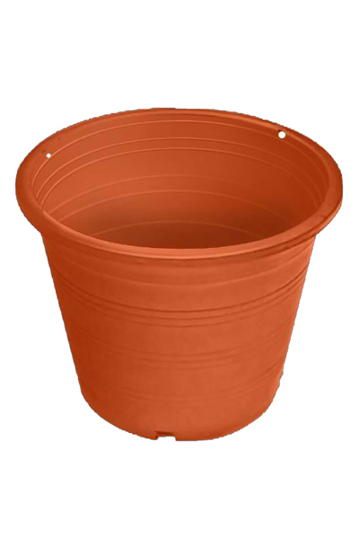 กถ.ชวนชมอิฐ12"