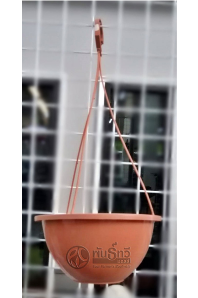 กถ.แขวนอิฐ 8"