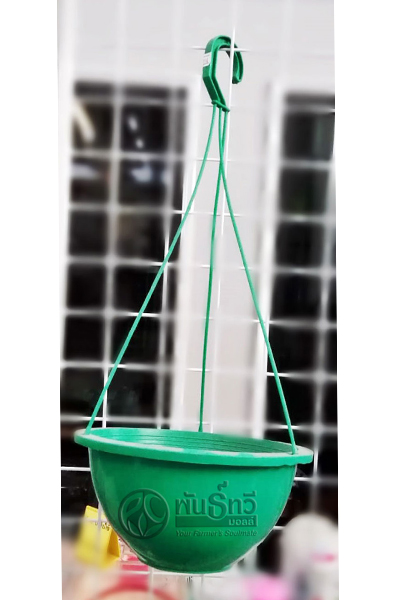 กถ.แขวนเขียว  8"