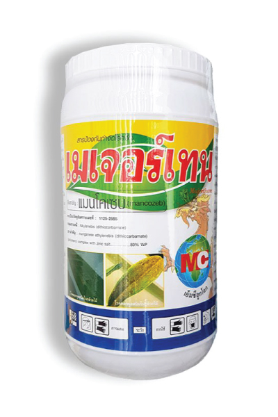 เมเจอร์เทนมังกรเพชร500G