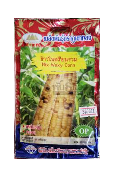 เทียนรวม ภูเขาทองOP*10