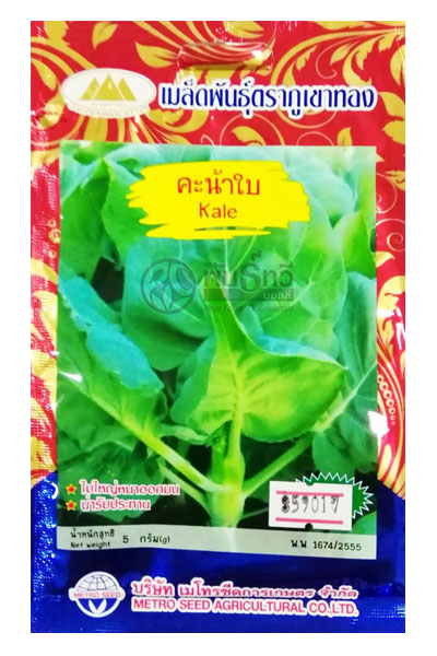 คะน้าใบ ภูเขาทองOP*10