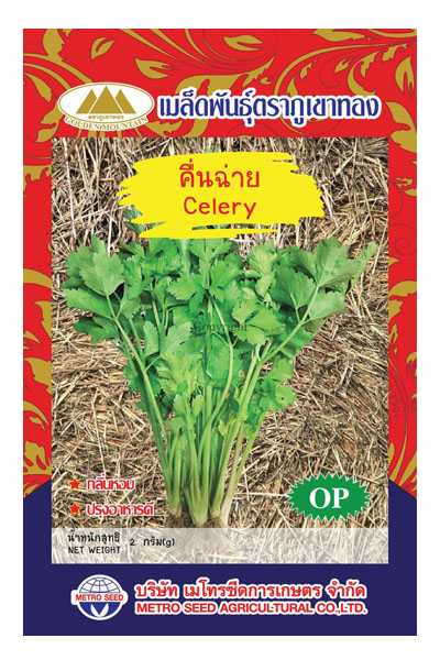 คื่นฉ่าย ภูเขาทองOP*10