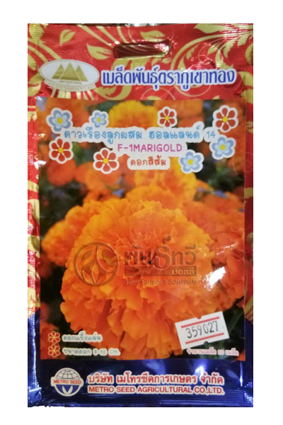 ฮอนแลนด์14 ภูเขาทองFW*10