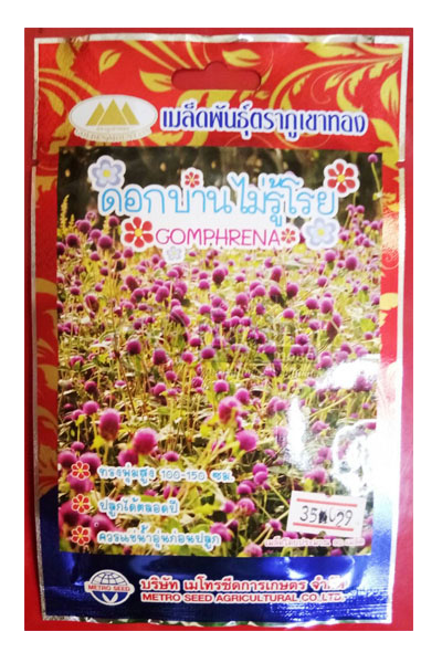 บานไม่รู้โรย ภูเขาทองFW*10