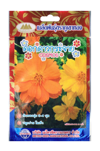 ดาวกระจาย ภูเขาทองFW*10