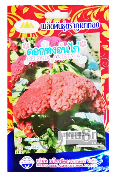 หงอนไก่ ภูเขาทองFW*10